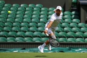  德约科维奇重返赛场，表现优异首场状态出色，TL观众沸腾！热度持续攀升